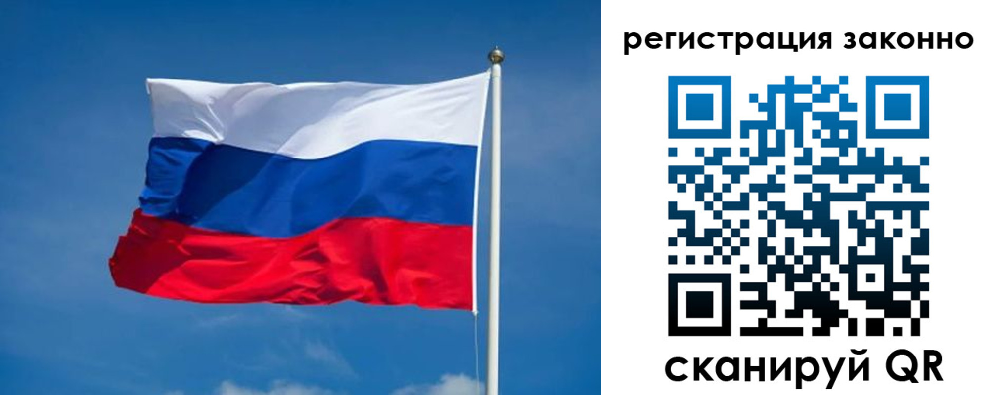прописка поиск в Дмитрове